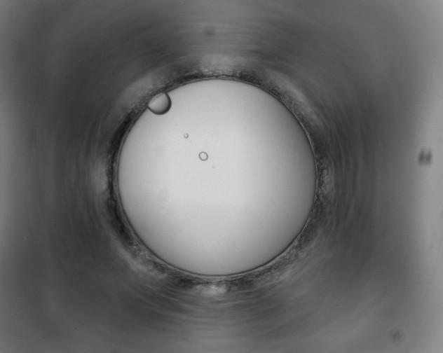 X0000101700687200807101346