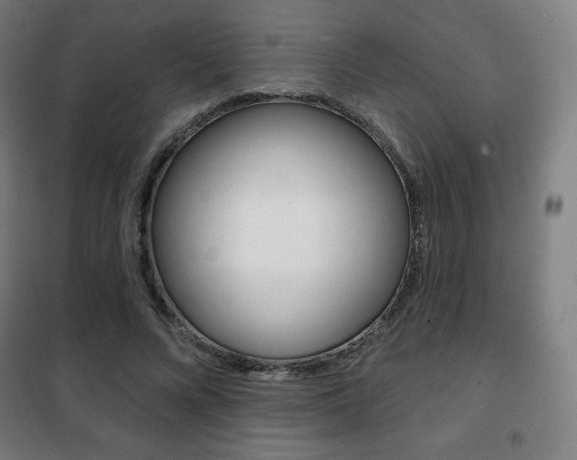 X0000101700688200807101346
