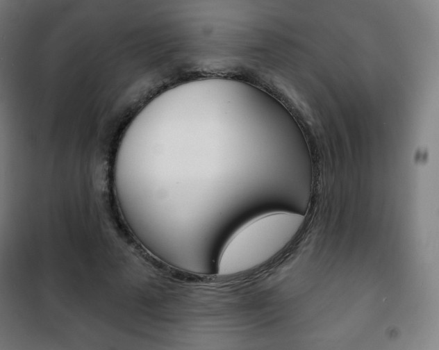 X0000101700689200807101346