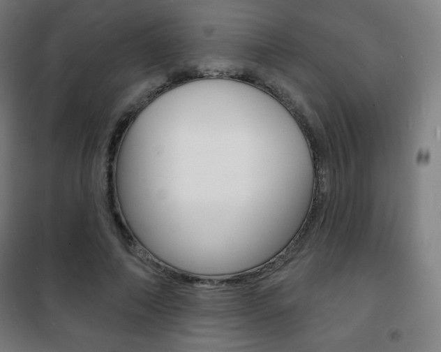 X0000101700690200807101346