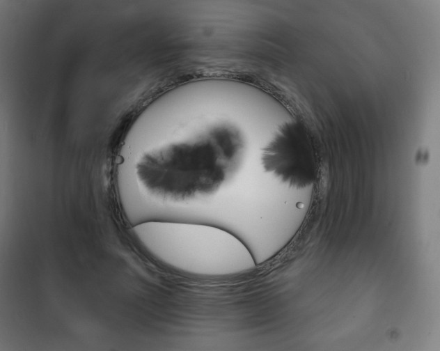 X0000101700691200807101346