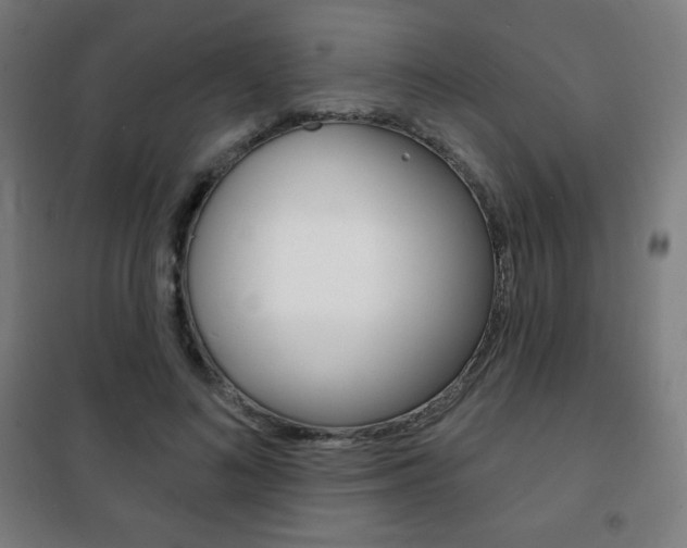 X0000101700692200807101346