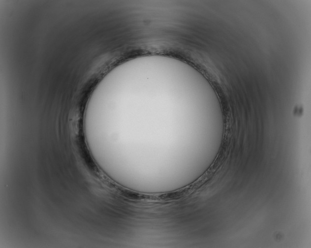 X0000101700694200807101346