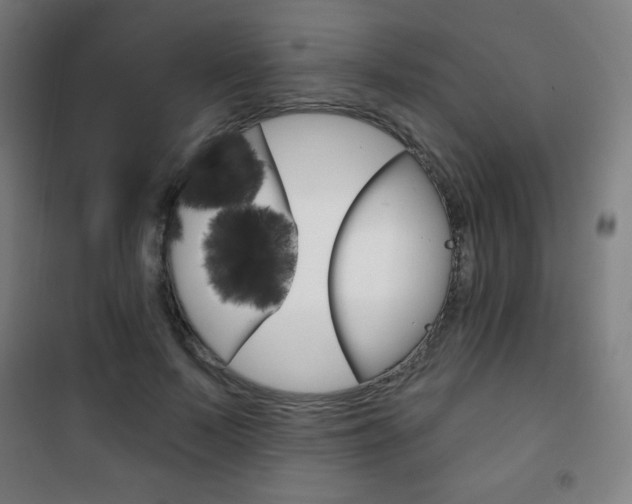 X0000101700695200807101346