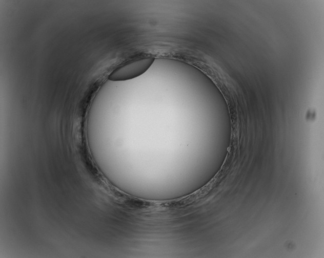 X0000101700696200807101346