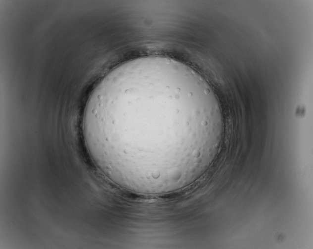 X0000101700698200807101346