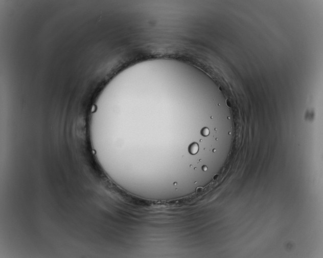 X0000101700700200807101346
