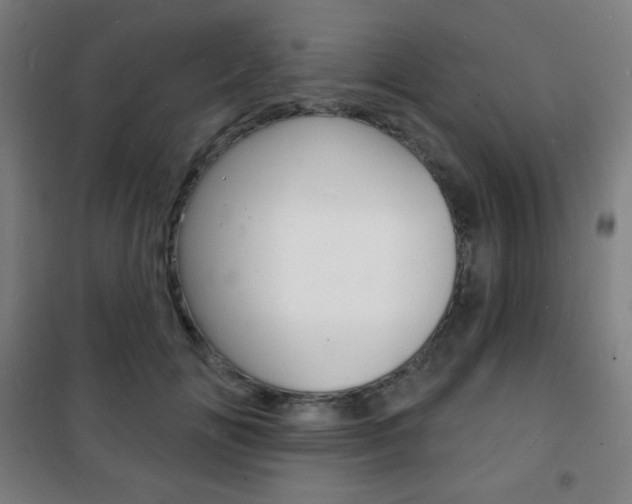 X0000101700702200807101346