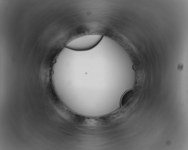 X0000101700703200807101346
