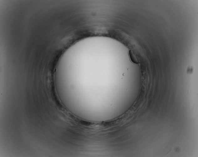 X0000101700704200807101346