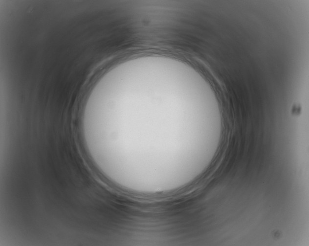 X0000101700705200807101346