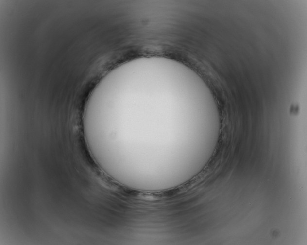 X0000101700706200807101346
