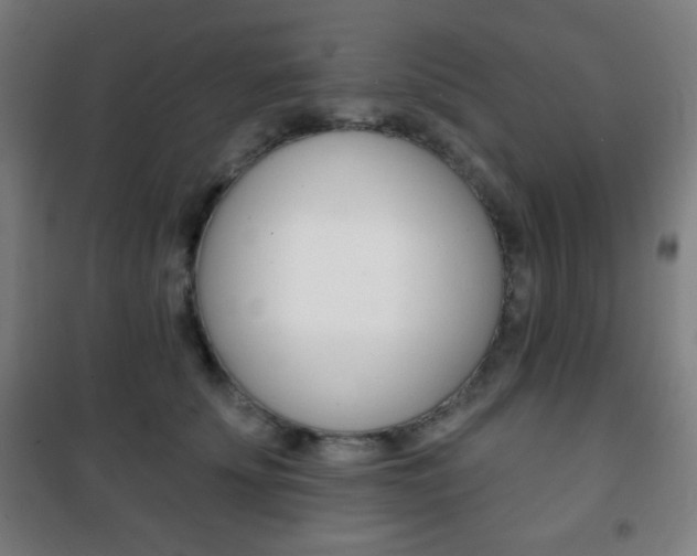 X0000101700707200807101346