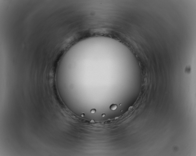 X0000101700708200807101346