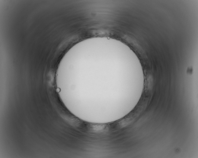 X0000101700709200807101346