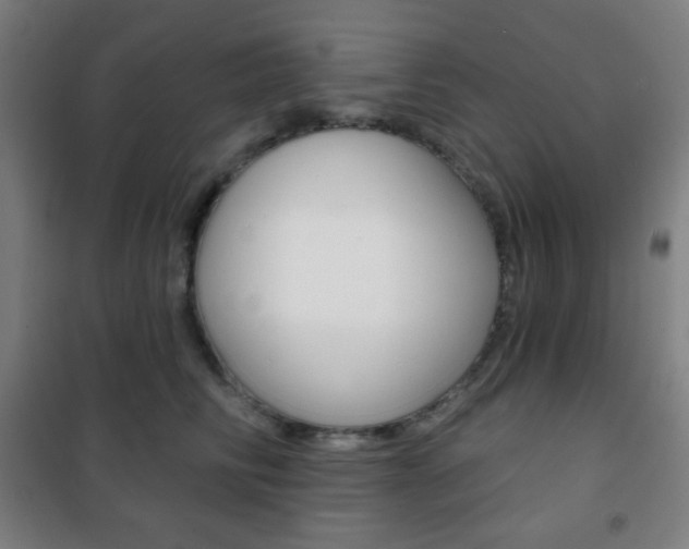 X0000101700710200807101346