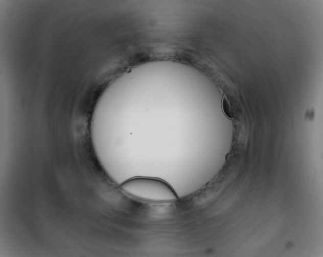 X0000101700711200807101346
