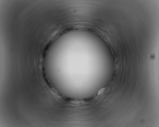 X0000101700712200807101346