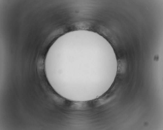 X0000101700713200807101346