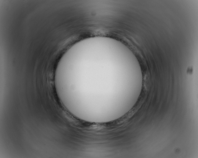 X0000101700714200807101346