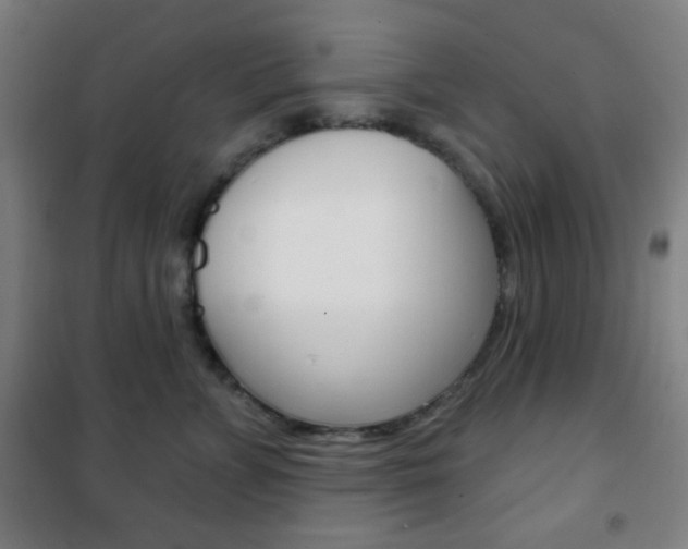 X0000101700715200807101346