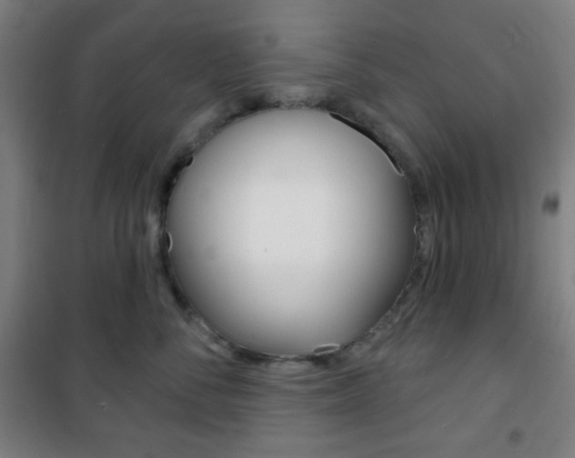 X0000101700716200807101346