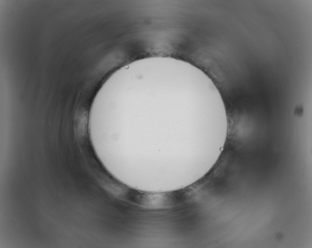 X0000101700717200807101346