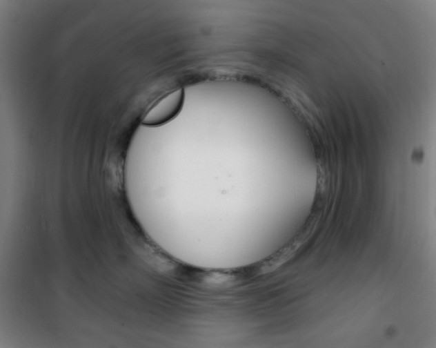 X0000101700718200807101346