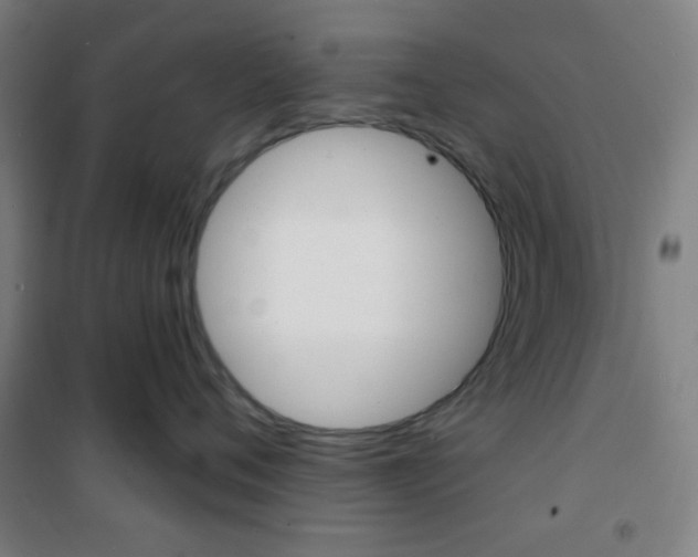 X0000101700720200807101346