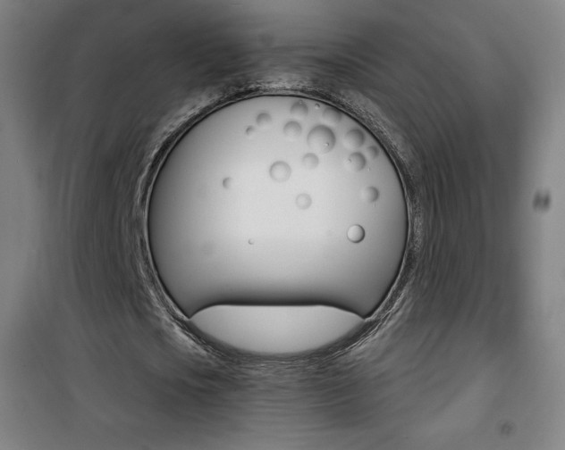 X0000101700721200807101345