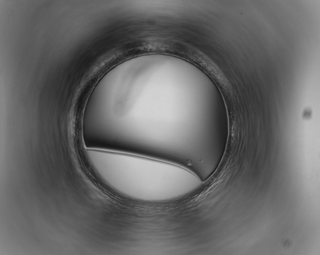 X0000101700722200807101345