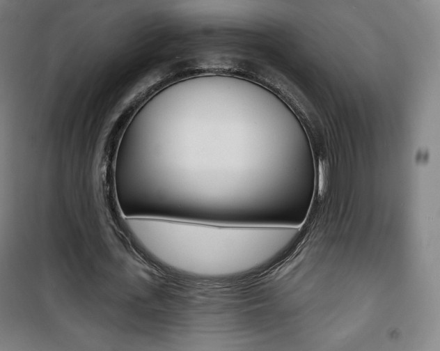 X0000101700723200807101345