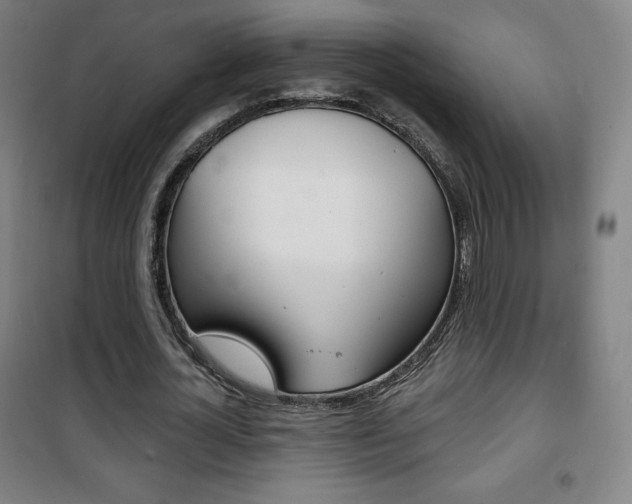 X0000101700724200807101345
