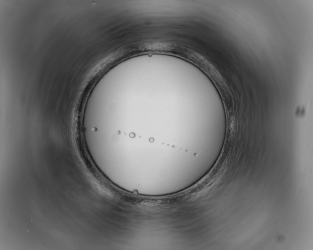 X0000101700725200807101345