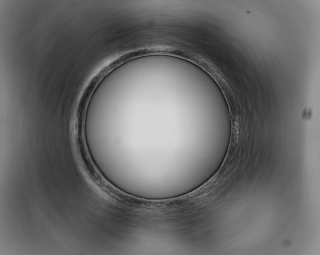 X0000101700726200807101345