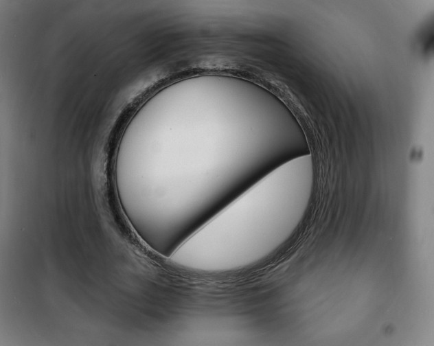 X0000101700727200807101345