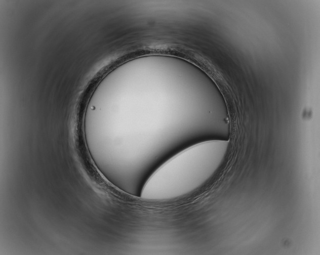 X0000101700728200807101345