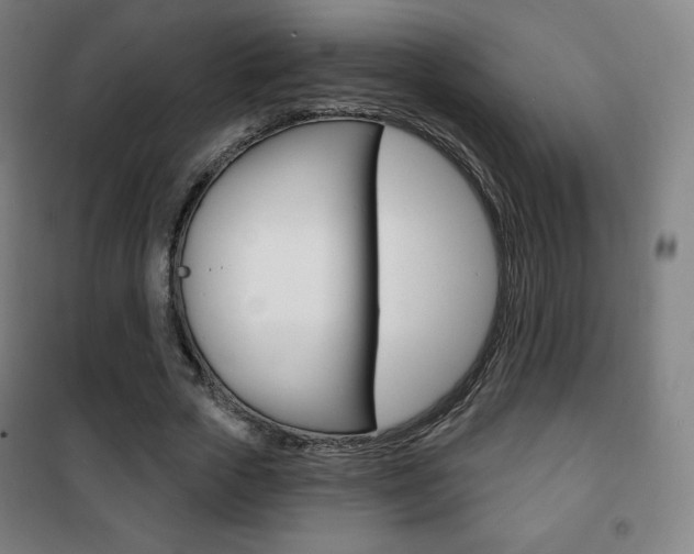 X0000101700729200807101345