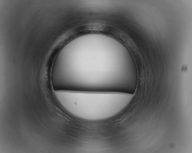 X0000101700731200807101345