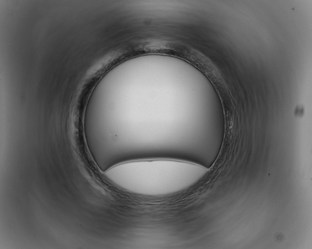 X0000101700732200807101345