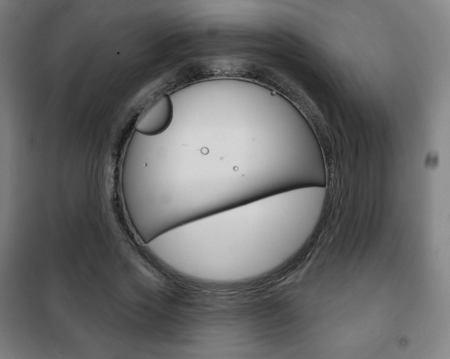 X0000101700733200807101345