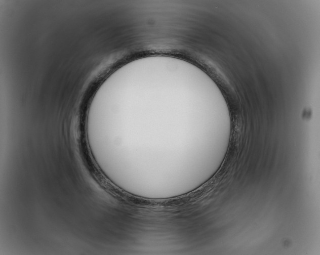 X0000101700734200807101345
