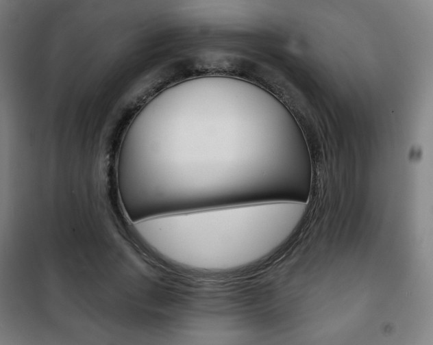 X0000101700735200807101345