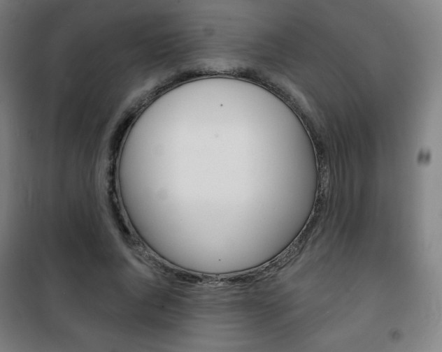 X0000101700736200807101345
