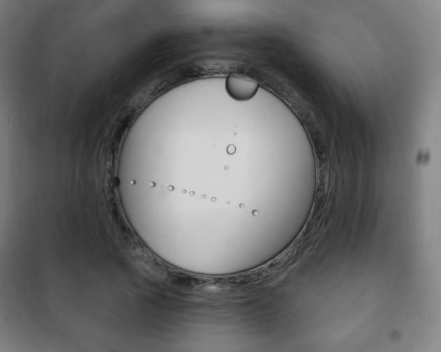X0000101700737200807101345