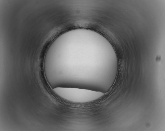 X0000101700738200807101345