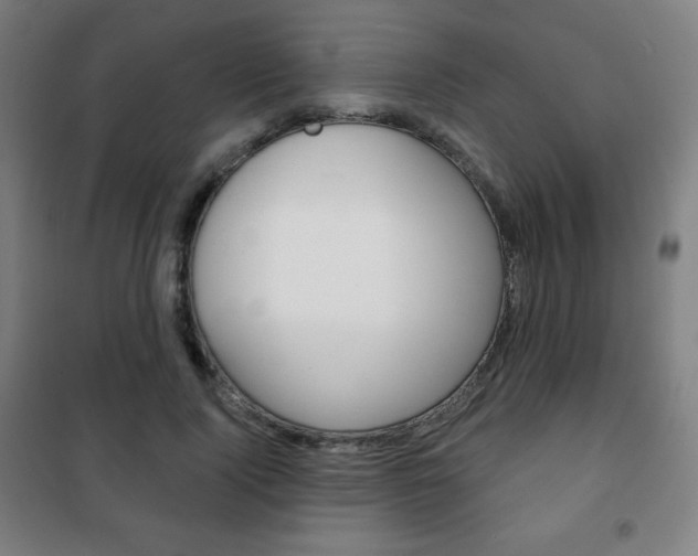 X0000101700740200807101345