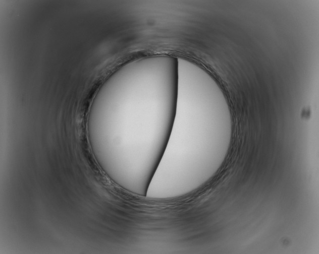 X0000101700741200807101345