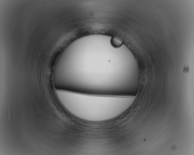 X0000101700742200807101345