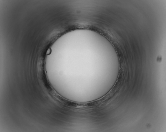 X0000101700744200807101346